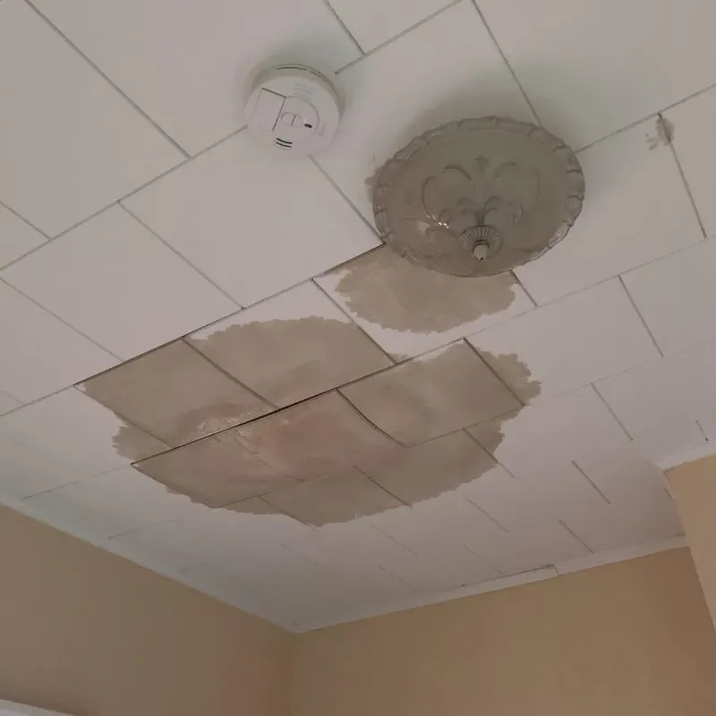 Ceiling Water Damage Repair in Hope, AR