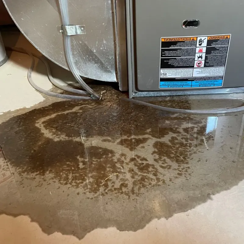 Pipe Burst and Leak Restoration in Hope, AR